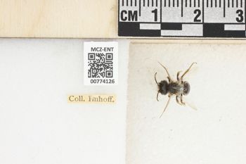 Media type: image;   Entomology 774126 Aspect: Labels